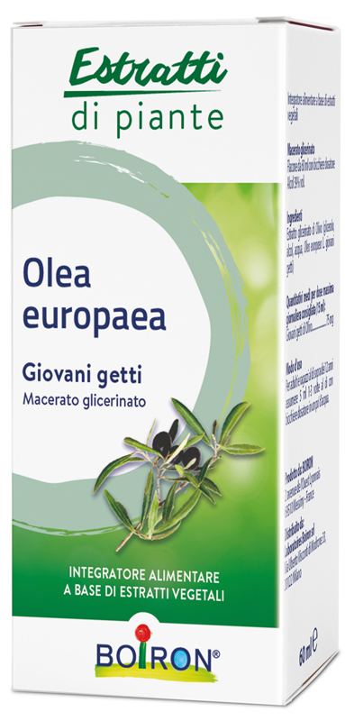 OLEA EUROPAEA MACERATO GLICERICO 60 ML INT - Luckyfarma.it