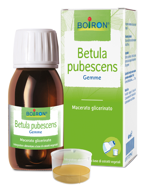 BETULA PUBESCENS MACERATO GLICERICO 60 ML INT - Luckyfarma.it