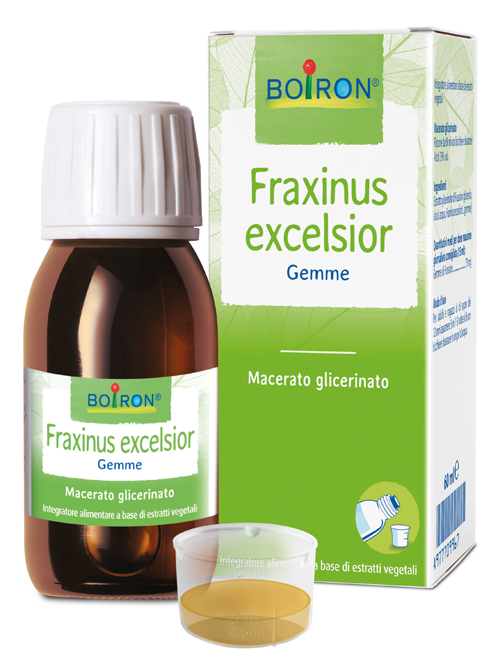 FRAXINUS EXCELSIOR MACERATO GLICERICO 60 ML INT - Luckyfarma.it
