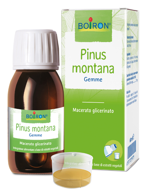 PINUS MONTANA MACERATO GLICERICO 60 ML INT - Luckyfarma.it