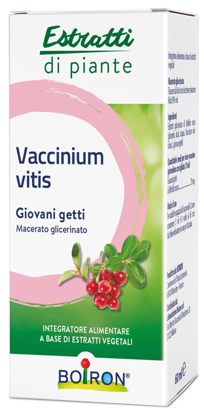 VACCINIUM VITIS MACERATO GLICERICO 60 ML INT - Luckyfarma.it