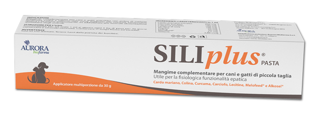 SILIPLUS PASTA 30 G - Luckyfarma.it